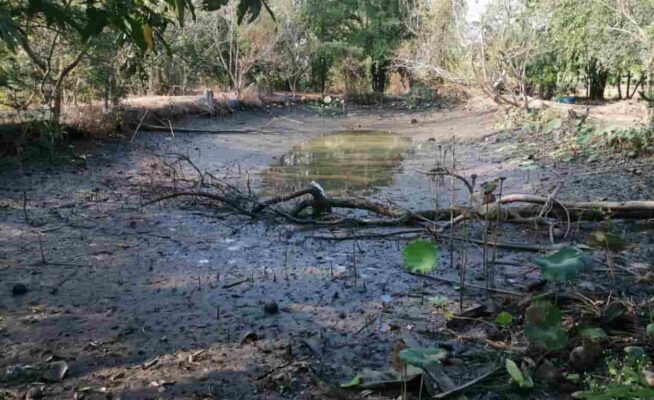 ญาติๆสูบสระเพื่อจับปลาและเตรียมเพาะปลาดุกครับ...