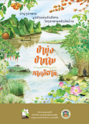 ป่าบุ่งป่าทาม ภาคอีสาน