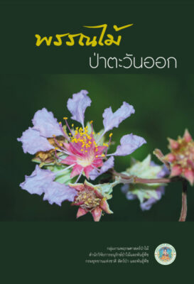 พรรณไม้ป่าตะวันออก