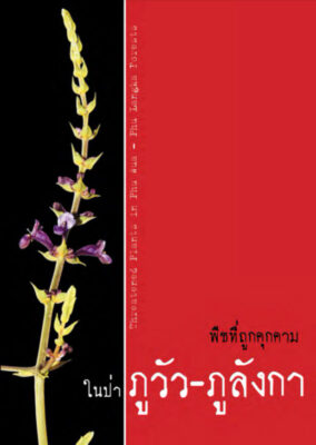 พืชที่ถูกคุกคามในป่าภูวัว-ภูลังกา