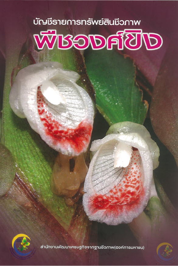 พืชวงศ์ขิง